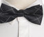 Adult Striped Bowtie