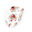 Men's Paisley Print Neck Ties