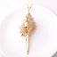 Beach Shell Pendant Necklace
