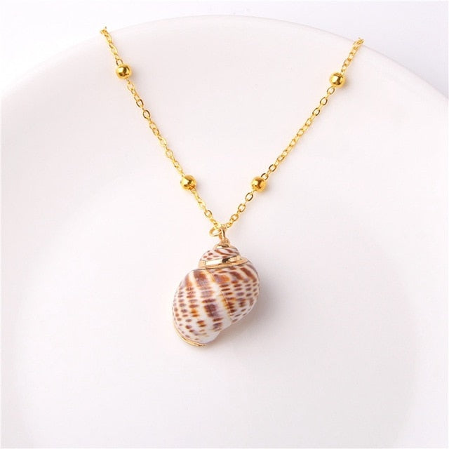 Beach Shell Pendant Necklace